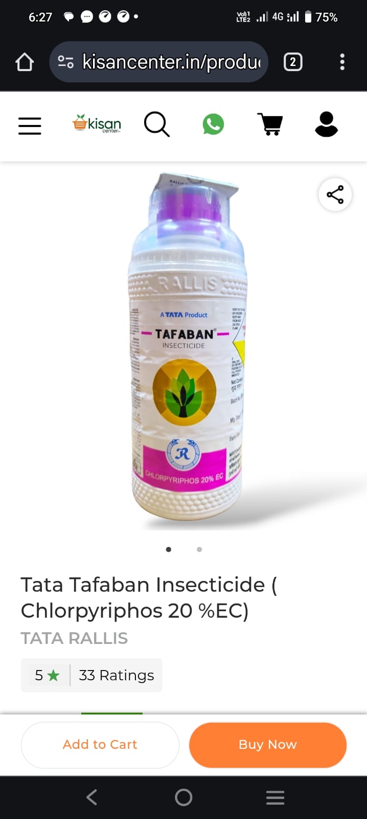 Specialized Pest Treatment